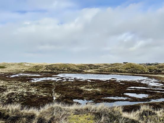 This image depicts a tranquil coastal or marshland scene, likely in a temperate climate zone. The landscape features undulating sand dunes covered with sparse vegetation, typical of coastal dune systems. The foreground shows wetlands or marsh areas with patches of standing water, likely providing a habitat for various waterfowl and aquatic plants. The sky is overcast with substantial cloud coverage, suggesting a cool or humid day. There's a hint of human presence, as evidenced by a small structure visible in the distance atop the dunes. The overall mood conveyed by this landscape is serene and natural, with a focus on the interaction between land and water.