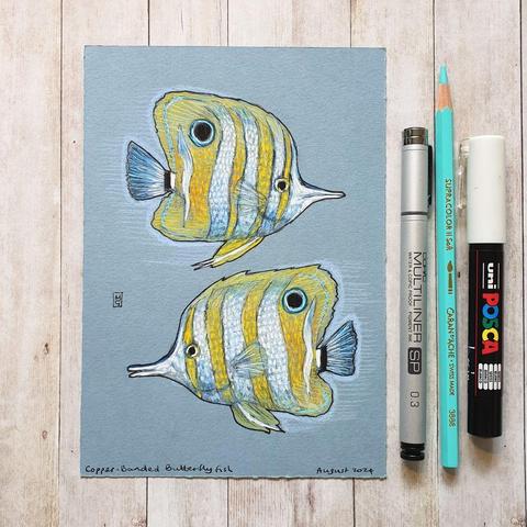 A colour drawing of two Copper-Banded Butterfly Fish. Yellow and white striped fish. The copper-banded butterflyfish, also known as the beaked coral fish, is found in reefs in both the Pacific and Indian Oceans.
An original art work
Colour pencil and mixed media on acid free toned artist paper
5 by 7 inches (12.7 by 17.8 cm). This is a standard photo size in the UK and USA and should be easy to DIY frame.
Sold unframed