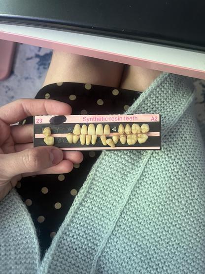 a photo of a small pink and black cardboard card with the label "synthetic resin teeth" "23" "A2" printed on it and around 20 very realistic looking baby teeth stuck to it. i'm holding it in one hand over my lap with a cute black polka dot skirt and soft green knit draped garment over my knees that are pressed together beneath the edge of a pink-and-white desk