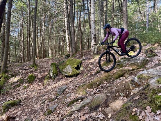 mt biker rolling over a rock and down a steep chunky gully.