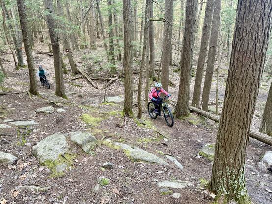 mt bikers climbing a rooty and rocky section of trail with a variety of lines depending on how tricky you want it to be and your energy levels
