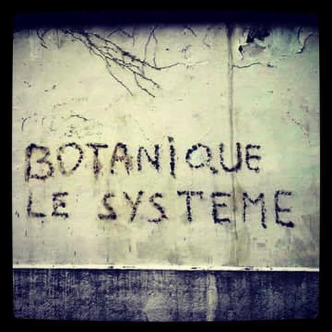 BOTANIQUE LE SYSTÈME