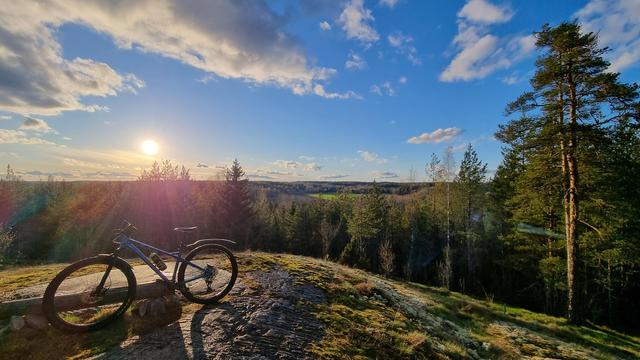 Mountain bike leaning against a makeshift bench in a forest. Sun is going down and the sky is mostly clear.