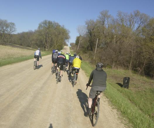 A group of people on bicycle riding on a gravel and dirt road. On the right side is a a green verge of grass and new plants with trees with buds in the distance.  The road is a light tan color and goes from picture center top to bottom with about 10 people on bicycle