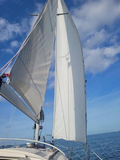 Segelboot