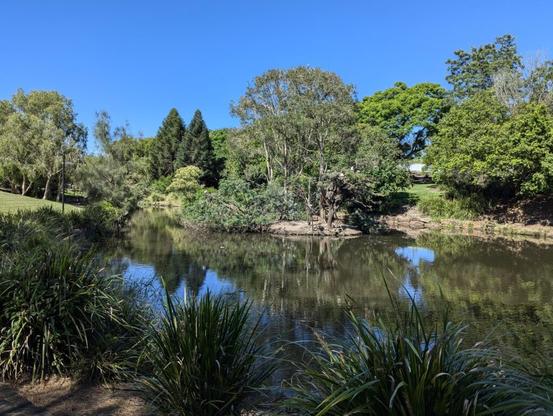 STATE GOVERNMENT’S PLAN TO OVERRIDE THE DEMOCRATIC PROCESS TO DESTROY VICTORIA PARK