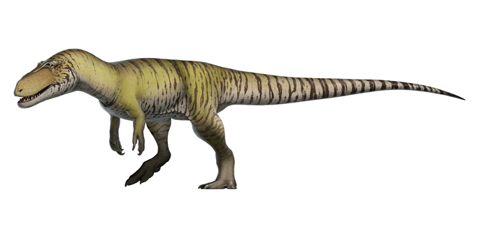 artists rendering of a torvosaurus -- a lengthy, low theropod with a brow ridge, tiger stripes and long snout