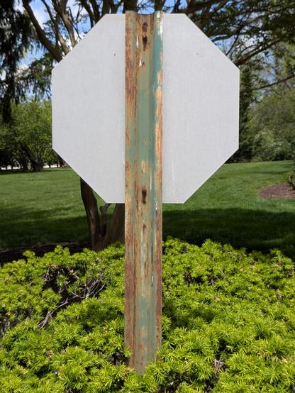 A stop sign, seen from the back, emerging from bright green shrubery, with a half-obscured tree and grass adding shadow and texture to the background. The sign post was painted teal once long ago, but is faded now, and mottled with warmer tones of the rust showing through. The octagon of the actual stop *sign*, from this side, is a stark flat gray in comparison to the rest of the scene.