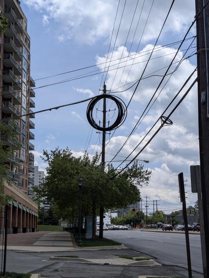 A view of telephone poles and wires crisscrossing over a partly cloudy blue sky. Excess cabling on one line is bundled up in a ring, which from our perspective, draws a scribbly circle around the insectoid shape of the crossbars on the telephone pole behind it.