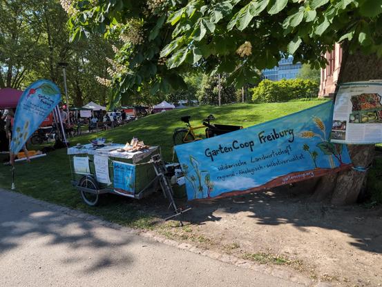 Infostand der "Gartencoop Freiburg" bestehend aus einem Lastenanhänger und vielen Bannern unter einem Kastanienbaum.