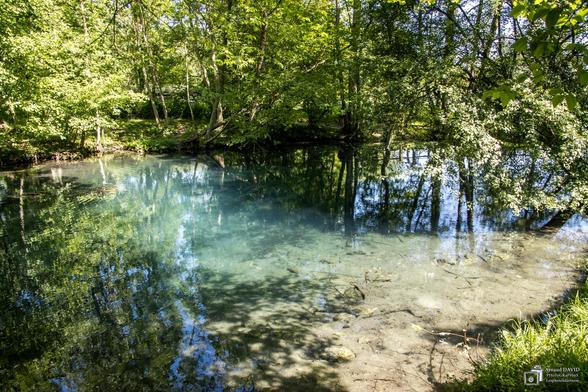 Tavers (45), les eaux bleues