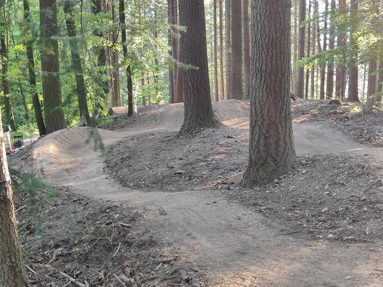 Mehrere Kurven im Wald