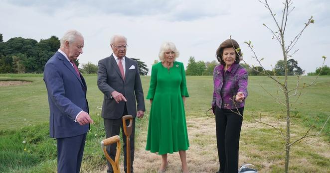 Charles and Camilla plant ‘beautiful’ Swedish oak with King and Queen of Sweden – The Irish News