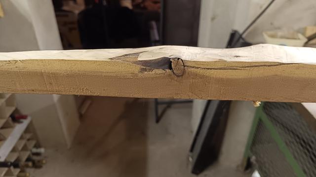Wir schauen auf ein Ende des Eibenholz Stück, wo ein Ast im Bereich der Außenseite zu sehen ist und das Holz dann dort massiv beeinträchtigt ist