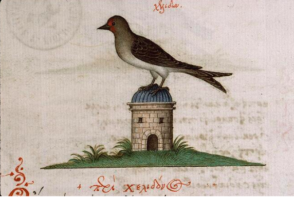 Enluminure du Ms 3041 de la Bibliothèque Sainte-Geneviève : un oiseau perché sur une petite architecture. Il a les ailes marron foncé et des taches rouges près du bec. Le petit temple (?) a une coupole bleue et est posé sur de l'herbe verte