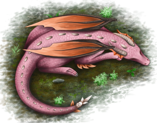 Drawing of pink dragon, sleeping on grass, depicted from above.  This creature has rather small orange wings, white horns and bony hooks on tail tip. It's lying on belly, with paws on both sides of body, head and tail turned to its right side.