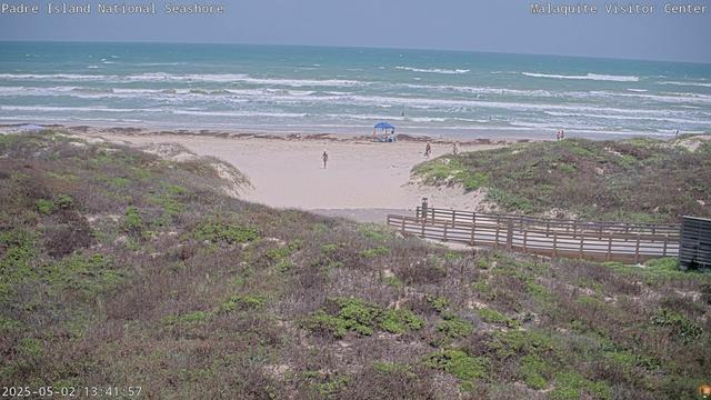 Lines of curling white waves today at Padre Island National Seashore. Visitors enjoy the water and the shore. In the foreground, a boardwalk leading to the beach and a variety of coastal plants. The plants are green and brown. The water is turquoise and teal (at least as far as some of the color palettes describe these two!).