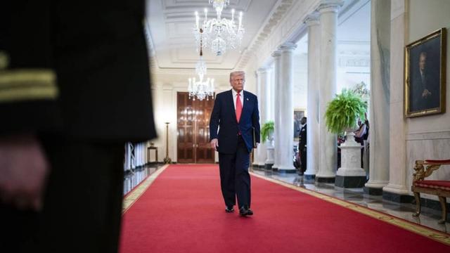 Will US President Donald Trump make me lose my money? – Darcy Ungaro