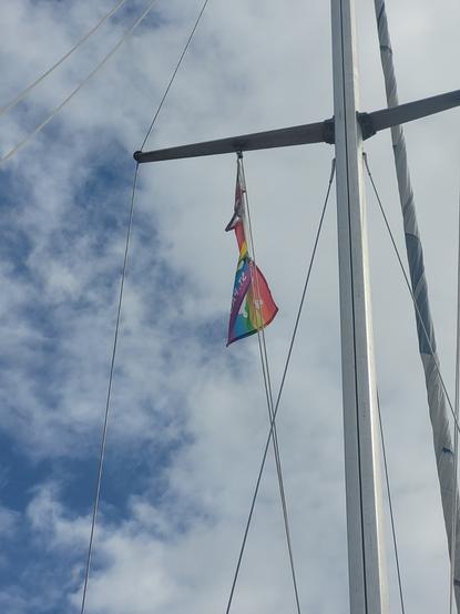 Flagge