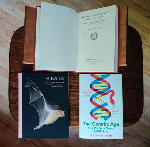 A top-down photo of three books lying down on a small, brown, wooden table. At the top, lying down a wooden bookstand, The Great Chain of Being, opened on its title page (the cover is plain dark-red cloth binding so not very interesting to show). At the bottom left, The Lives of Bats, showing a bat in flight against a black background. At the bottom right, The Genetic Age, showing a simplified, schematic diagram of a DNA double helix with green and yellow nucleotides and a red-blue sugar-phosphate backbone. One of the two strands of the backbone turns into the head of a snake with a blue tongue flicking out. The background shows a beech-coloured laminate floor.