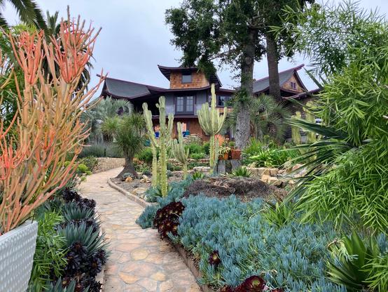 A lush garden filled with various cacti and succulents leads to a distinctive house in the background. The pathway is lined with colorful plants, and large trees provide shade. The sky is overcast.