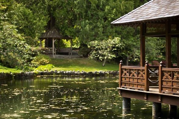 A taste of Japan comes to Colwood's Hatley Park teahouse and gardens