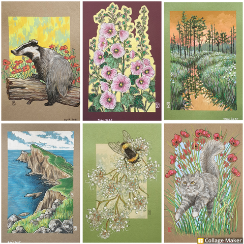 A photo collage of some of my recent work:
A badger, hollyhock flowers, a sunset landscape, Neist Point on the Isle Of Skye, a bee with flowers and a cat with red flowers.