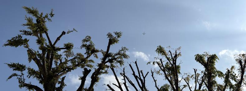 Panoramic photo taken at Ohara Park in the Itabashi Ward of Tokyo, Japan