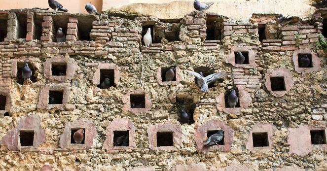Simple Pigeon Math Explains Deep Computer Science Ideas