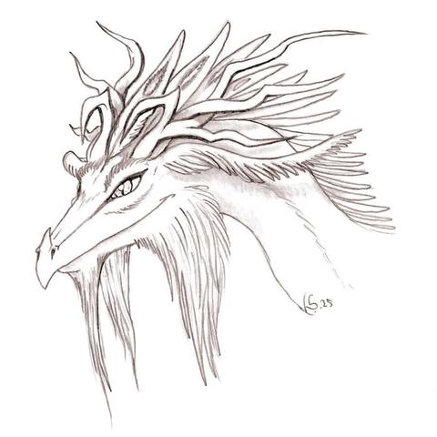 A pencil drawing showing the portrait of a Dragon with a long beard, antler-like horns and a feather crest.