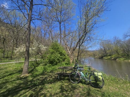A bicycle with green bags leans against a faded brown picnic table. The grass and bushes are a bright green. To the left is an asphalt trail. To the right is a blue river. Trees are starting tonhave leaves on both sides of the riverbanks.