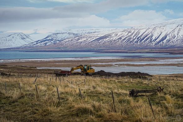 Yellow excavator in a field. In the back there is water of an inlet (sea) and snowy mountains in the back.