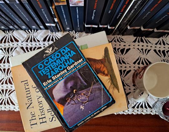 The book mentioned over a table with some more books and a cup. The cover of the book depicts broken glasses