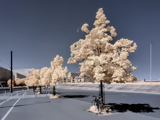 infrared picture