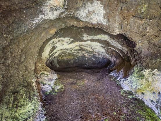 An interior view of a cave, showcasing a curved rocky entrance with exposed minerals and patches of green moss on the ground. The walls are textured with shades of brown and gray, creating a natural, earthy atmosphere