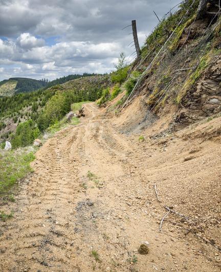 A dirt road winds through a forested area with sparse vegetation and patches of exposed soil. Rocky terrain is visible along the sides, with some tree stumps and a cloudy sky overhead