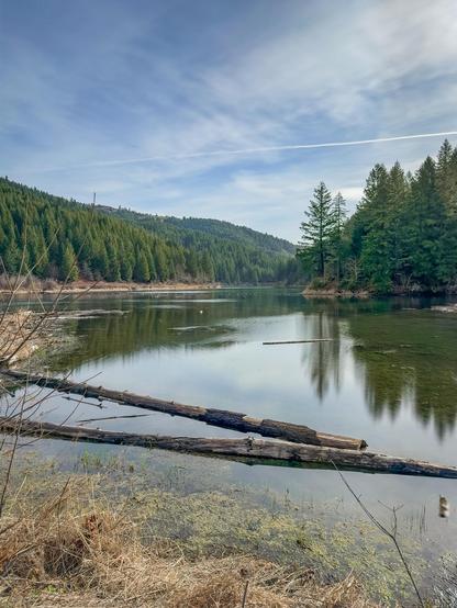 A serene landscape featuring a calm reservoir surrounded by dense green forests. Logs are partially submerged in the water, reflecting the trees and clouds above. The scene conveys a peaceful natural setting