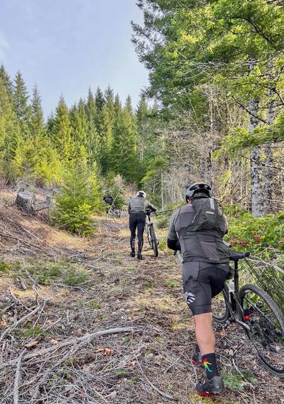 Gravel bikers are hiking uphill on a narrow, wooded old skid road, navigating through a forested area with trees and underbrush. The background features lush greenery and signs of recent forestry activity