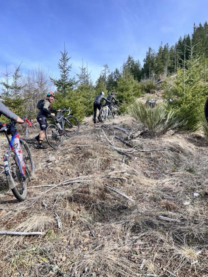 A group of four cyclists navigating a steep, rugged terrain with sparse vegetation and young trees, under a clear blue sky. One cyclist is smiling while facing the camera