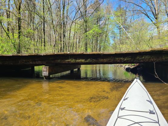 Dark low bridge over clear water on a sunny day with blue sky and trees newly leafing out.