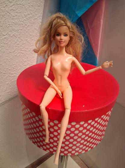 La Barbie. Tiene el cabello sucio y enredado. También le falta algo de maquillaje. Está saludando a la cámara 😸