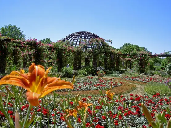 The image showcases a vibrant garden scene, featuring a variety of colorful flowers, including orange lilies and red blooms. In the background, there appears to be a decorative structure or pavilion surrounded by lush greenery and blossoming plants, under a clear blue sky. The overall atmosphere suggests a serene and beautiful outdoor environment.

Image Credits: Wikimedia / Heidas / CC BY-SA 3.0