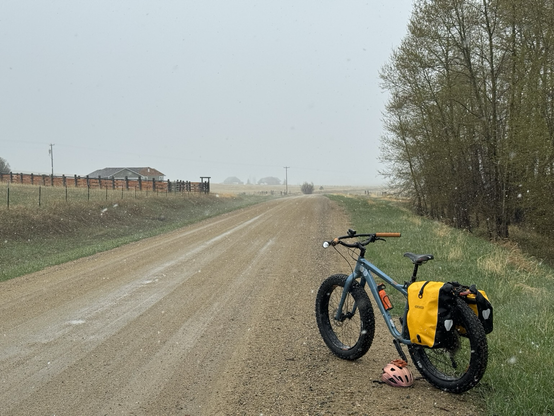 A blue fat bike on a wet gravel road with falling snow. Green grass is visible on both sides of the road. A line of budding cottonwood trees are on the right under cloudy skies..