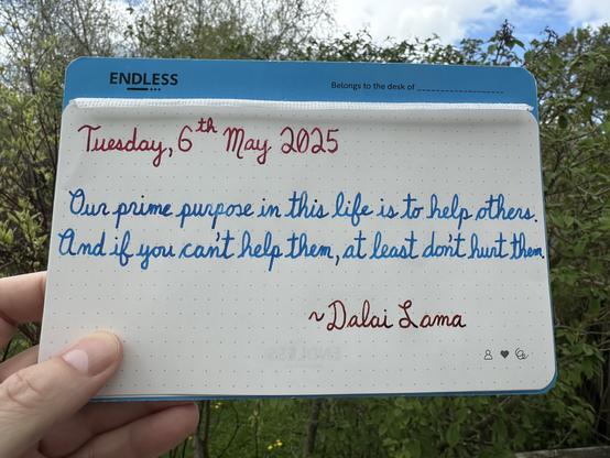 A pen quote of the Dalai Lama that reads, “Our prime purpose in this life is to help others. And if you can't help them, at least don't hurt them.”

Written using Wearingeul Captain Hook, Pilot Iroshizuku Kon-Peki & Dominant Industry Ginger Chicken.