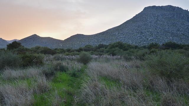 A photo of an arid mountain ridge at dusk with a field in front of it.