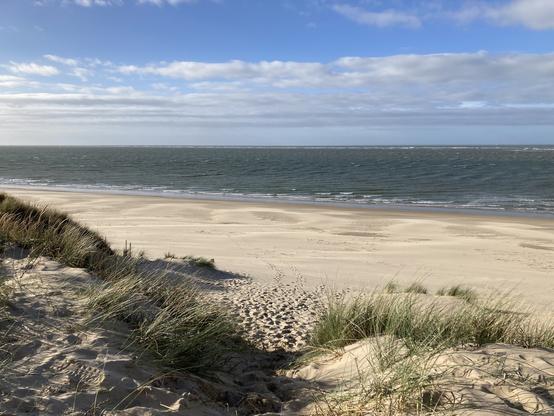 Das Bild wurde aus den Dünen in Richtung Meer aufgenommen. Im Vordergrund ist heller Sand und ein bisschen Dünengras zu erkennen. In der Mitte ist der Sandstrand, dahinter erstreckt sich das Meer. Darüber ist ein blauer Himmel mit einzelnen weißen Wolken. Der Strand ist menschenleer.