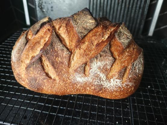 Fresh loaf of home bread on a cooling rack.