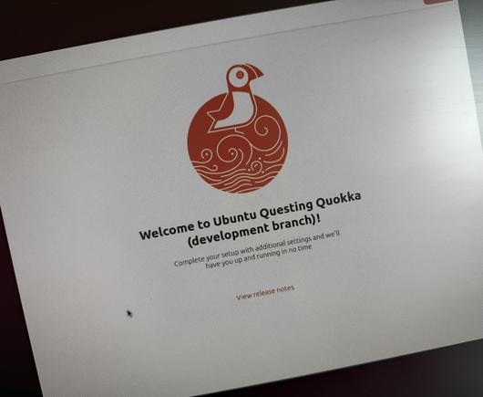 Ubuntu Quokka welcome screen