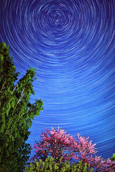 Star trails