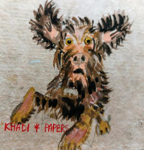 Shaggy wet dog jumping towards viewer